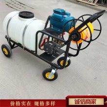 河南200升汽油高压打药机 宏晨手推式养殖场消毒机 拉管式果园喷药机