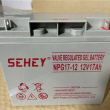 SEHEYNPG90-12Ǧά12V90AHʽֱUPS/EPSⲹˮ
