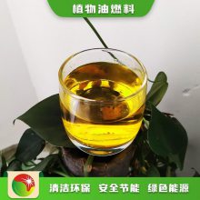 广东珠海创业项目植物油厨房燃料 商用无醇燃油 2人办厂