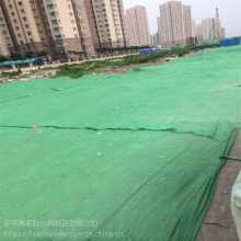 绿色盖工地网 大棚遮阳网 建筑安