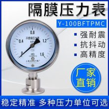 Ϻ304װʽĤѹYTP-100BFZ͸Ĥѹ50.5