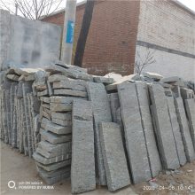 ʯʯ̨ʯ̤ʯʯǽʯʯżʯ