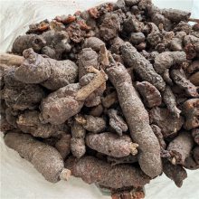 紫胶批发 紫草茸价格一斤