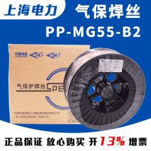 上海电力PP-TIG-309L碳Cr24Ni13型不锈钢钨极氩弧焊丝