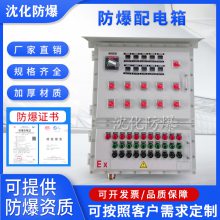 防爆断路器 IIB级碳钢焊接控制柜 接线端子检修箱 电源配电箱