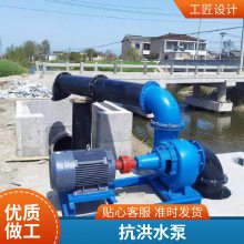 抽水泵盐湖泵农用泵 300HW-5蜗壳式混流泵 排涝抗洪柴电两用