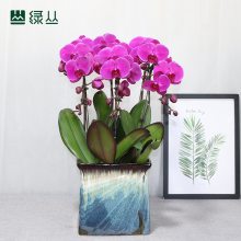 񻨻 컨ֲ ***ֲڻ***