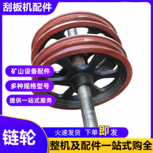 煤电厂捞渣机链轮 NE30提升机头轮底轮总成 消失模铸造传动齿轮
