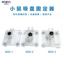 吸盘式单筒小鼠固定器小鼠尾静脉注射实验透明亚克力材质