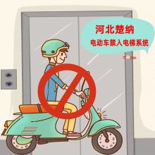 ݶԵ綯ܱװ 綯ʶݼ-