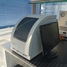 Mx3000PʵʱӫⶨPCR