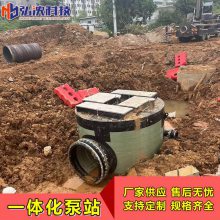 江苏 一体化预制泵站 污水提升泵站 市政污水提升排放