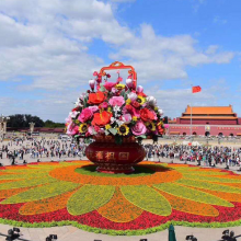 大型花篮植物景观仿真材质雕塑适不适合摆放在广场