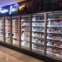 三盾冷链松下冷柜南昌市食品保鲜水果柜定制门