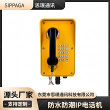 ʩԽ绰 ȺͨѶϵͳ IP绰 ҵˮ绰 SIP-PA-21