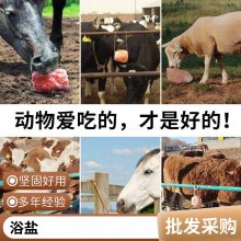 台灯白炽灯学习专用写作业儿童书桌学生插电式创意卧室宿舍床头灯