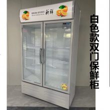 单门饮料柜便利店展示柜冷藏柜超市商用冰箱立式展示冰柜