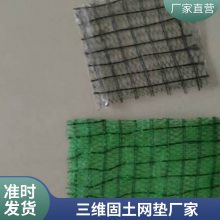 世杰土工 护坡三维土工网垫 EM3植被网 固土防止水土流失