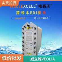 苏伊士SUEZ EDI工业超纯水制取模块 MK-3X高纯水edi设备