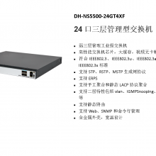  DH-NS5500-24GT4XF 24