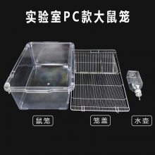ʵҶʵpc͸ǿ