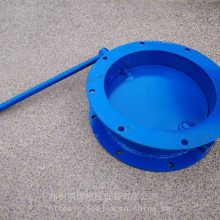 վˮ޳ֶDN300ֶ