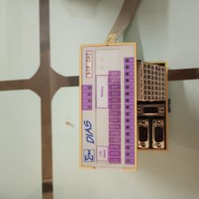 DCP080 DIAS CPU DCP080 SIGMATEKģ
