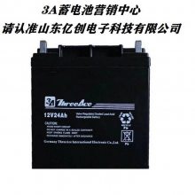 Threeace3A蓄电池12V24AH直流屏EPS/UPS电瓶配套使用