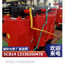 SCB14-800KVA ʽѹ Ч ȫͭ  GB20052 ַŵ