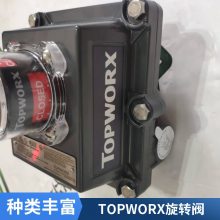 TOPWORX 35-13319M 限位开关 TIEFENBACH 磁性开关