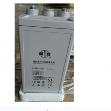 ˫ǷܷʽǦGFM-300C10
