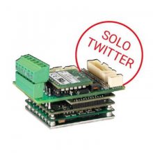 ELmo Gold (SOLO)TwitterϵG-SOLTWI25/100EE1S