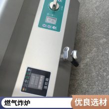 大型全自动油炸机 小酥肉花生米油炸加工设备 电加热可控温电炸炉