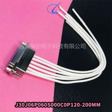 J30J06P060S000C0P120-200MM  J30J06P060S000W1P040