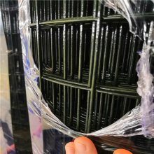 抹墙铁丝网片 围护铁丝网供应兴来 铁丝网分类