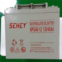 SEHEYNPG80-12Ǧά12V80AHʽֱUPS/EPSά