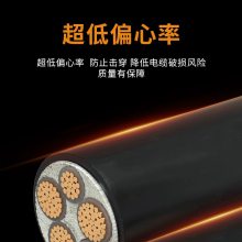 WDZ-YJY3*10+2*6ƽ±ͭо£ƣ0.6/1KVͭоѹ¡