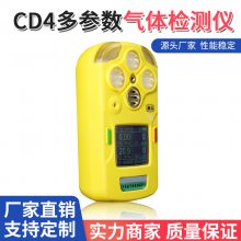 CD4多参数气体检测仪 氧气检测报警仪 便携式检测装置