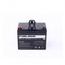 ӦPALMA PM80-12 12V80AH ֻʱ