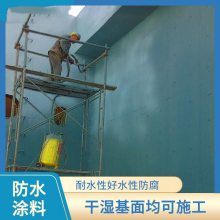 HEME高性能环氧改性弹性复合防腐防水涂料