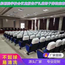 学校会议室椅套电影院坐垫套宴会厅椅背套礼堂椅垫布套座套定做