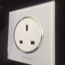 ϺSONGRI ײ ֻ 250V16A10A