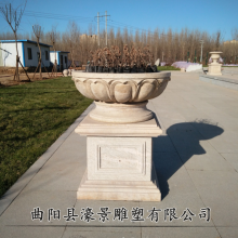 ԹͥԺСװʯͷ 軨Ǯ ʯͷ軨