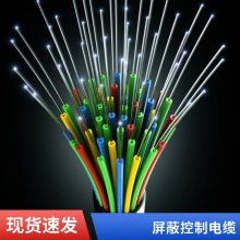 屏蔽控制电缆 矿用铠装屏蔽控制电缆 计算机屏蔽电缆