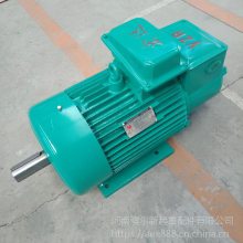 ṩ YZ 200L-6 22KW ұ첽綯