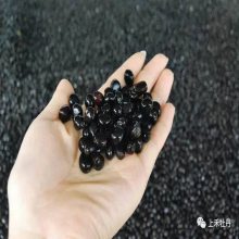 油用牡丹苗多少钱棵_油料牡丹苗的抗寒能力怎么样_签订回收合同