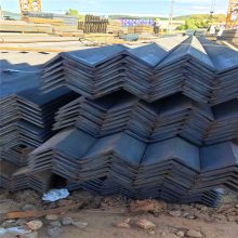 ʤпǸ Q235 63*40*5mm ڷе