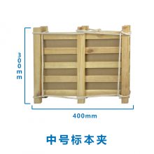 Ӧֲ걾 Ҷ ״ 23*15cm 