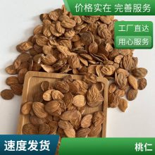 中药材山桃仁带皮无硫熏蒸库存充足