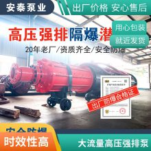 BQ1450-135/3-710/WS6000VѹøǱˮɳ